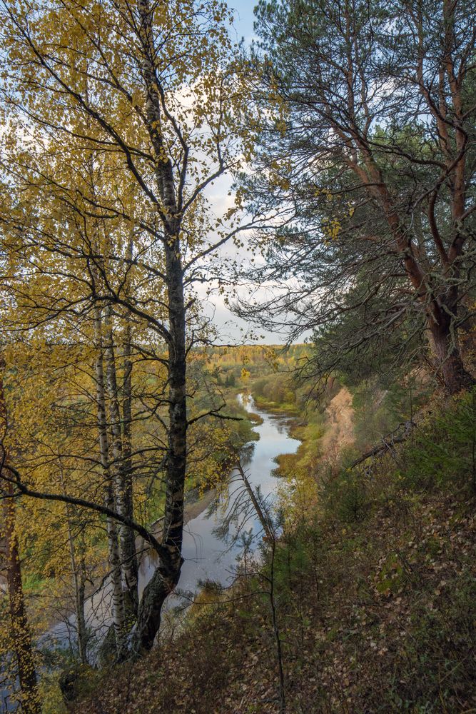 Photograph by Николай Лысцев