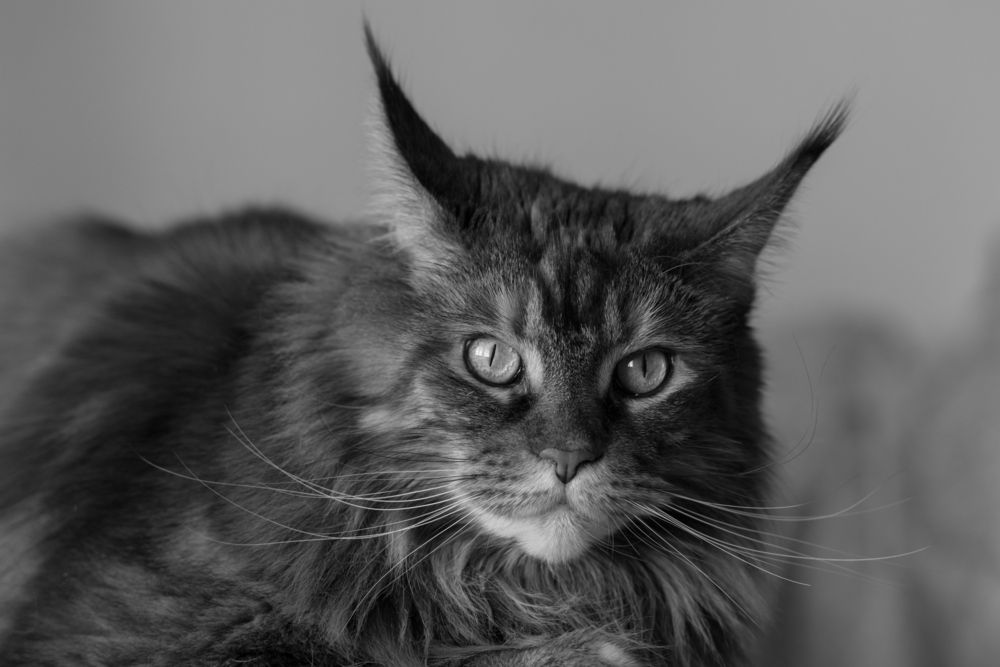 Photograph by Сергей Навроцкий