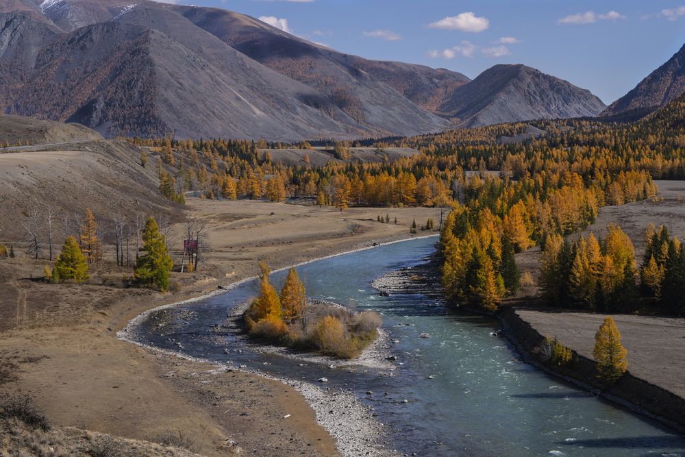 Photograph by Дейнекина Галина