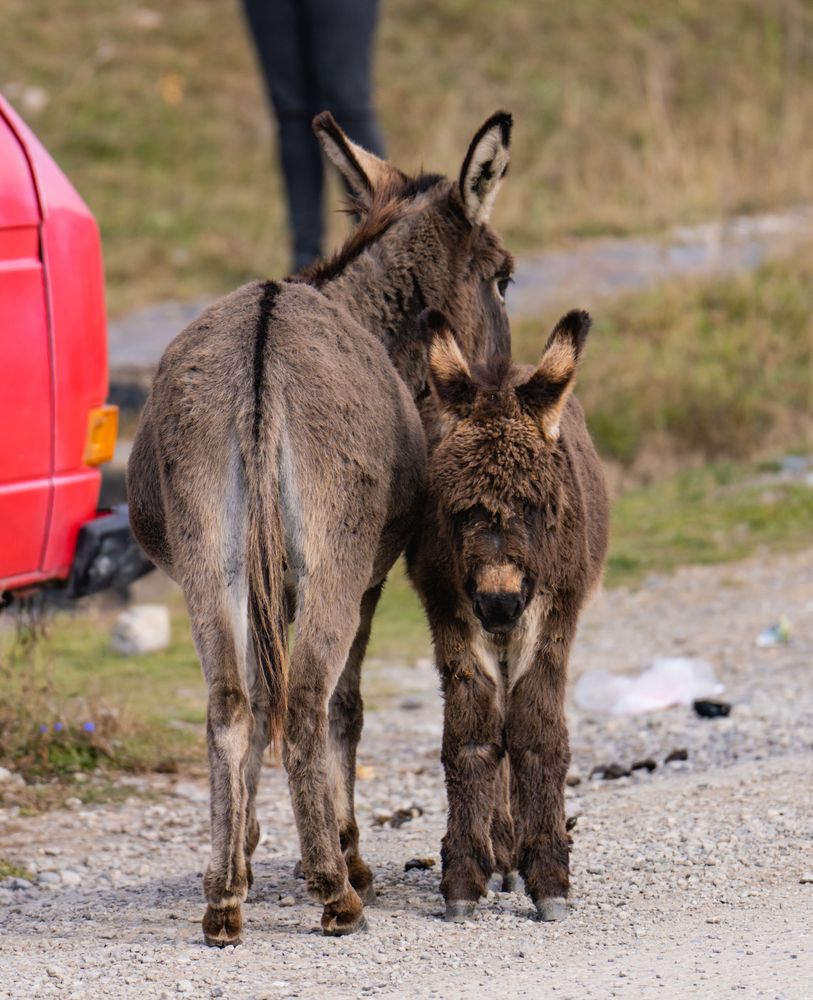 Photograph by Константин Яковлев