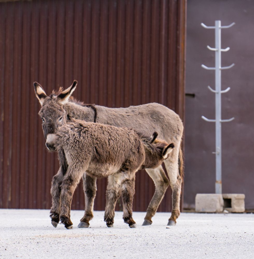 Photograph by Константин Яковлев