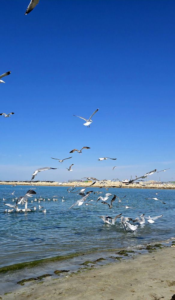 Photograph by behrooz roosta