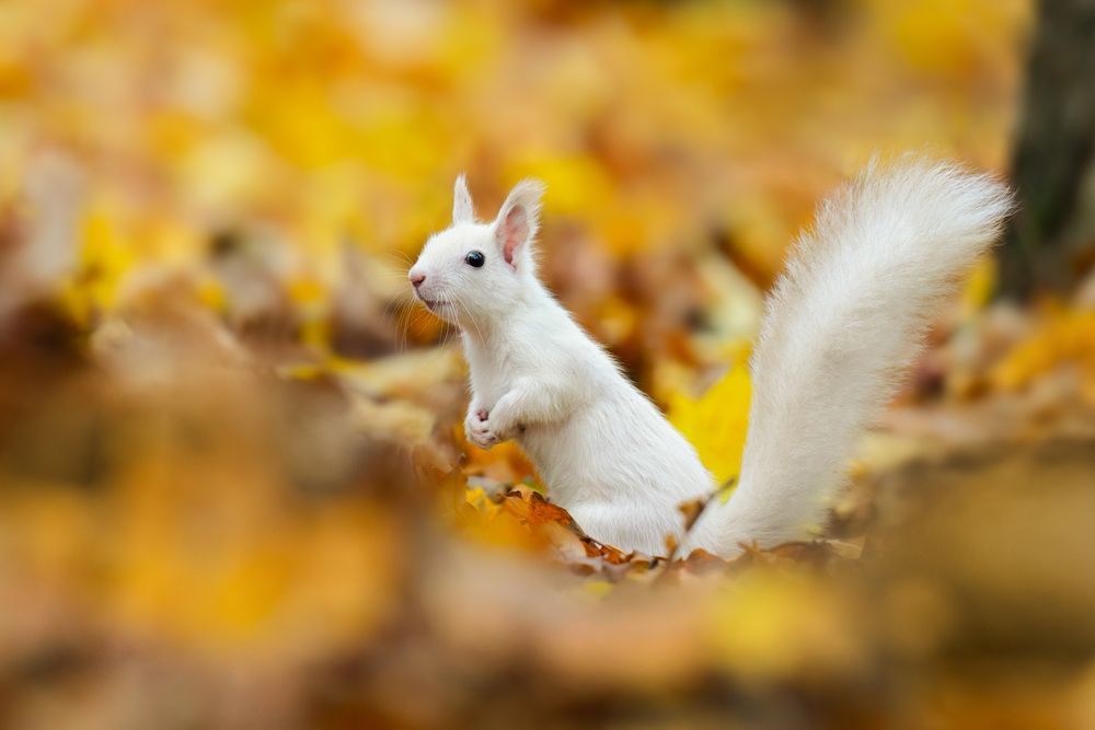 Photograph by Шаньшина Татьяна