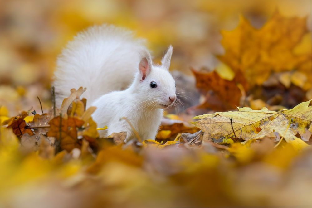 Photograph by Шаньшина Татьяна