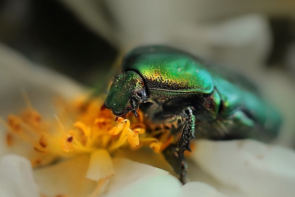 Photograph by Татьяна Бравая