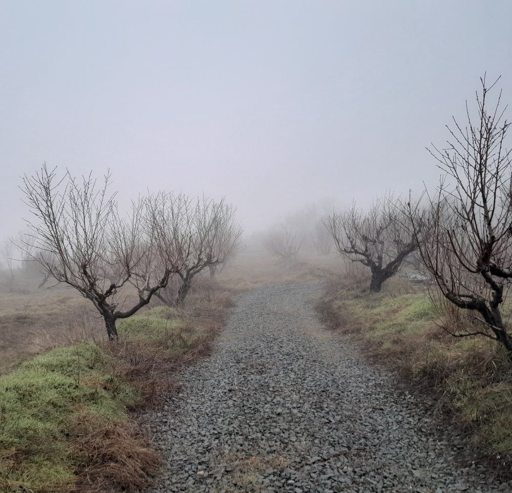 Фотография автора Татьяна Ситникова