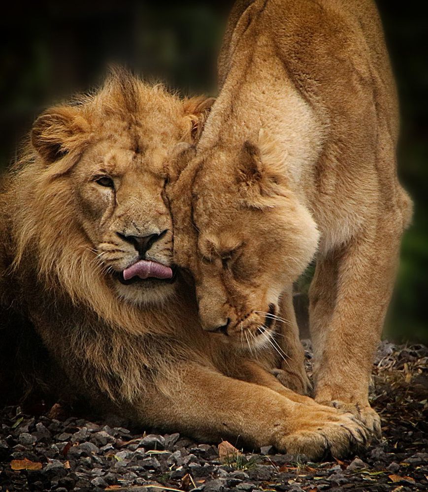 Photograph by Александр