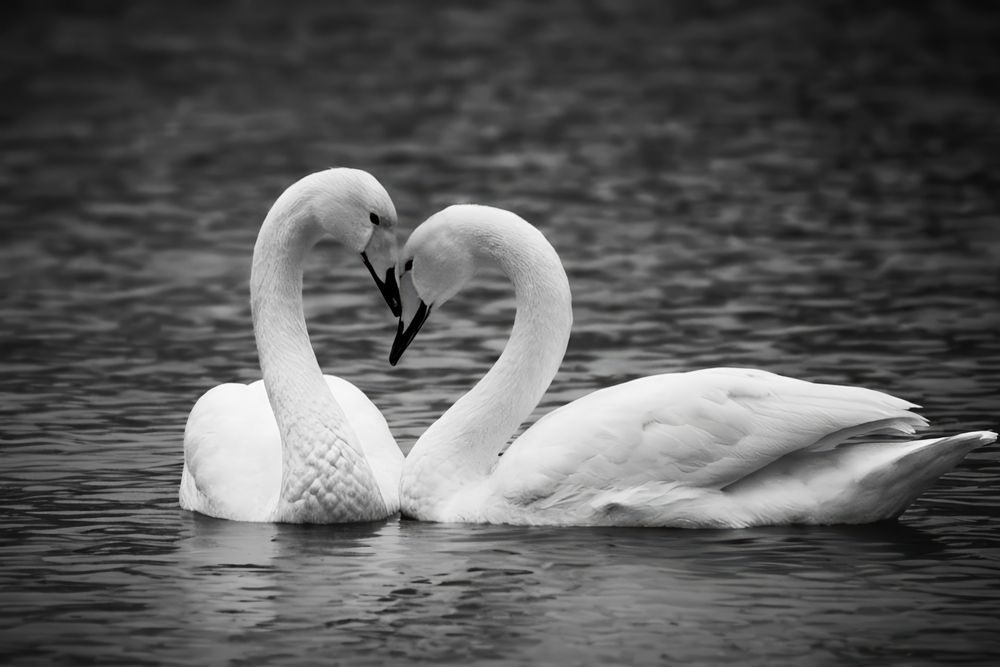 Photograph by Paul