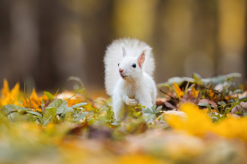 Photograph by Шаньшина Татьяна