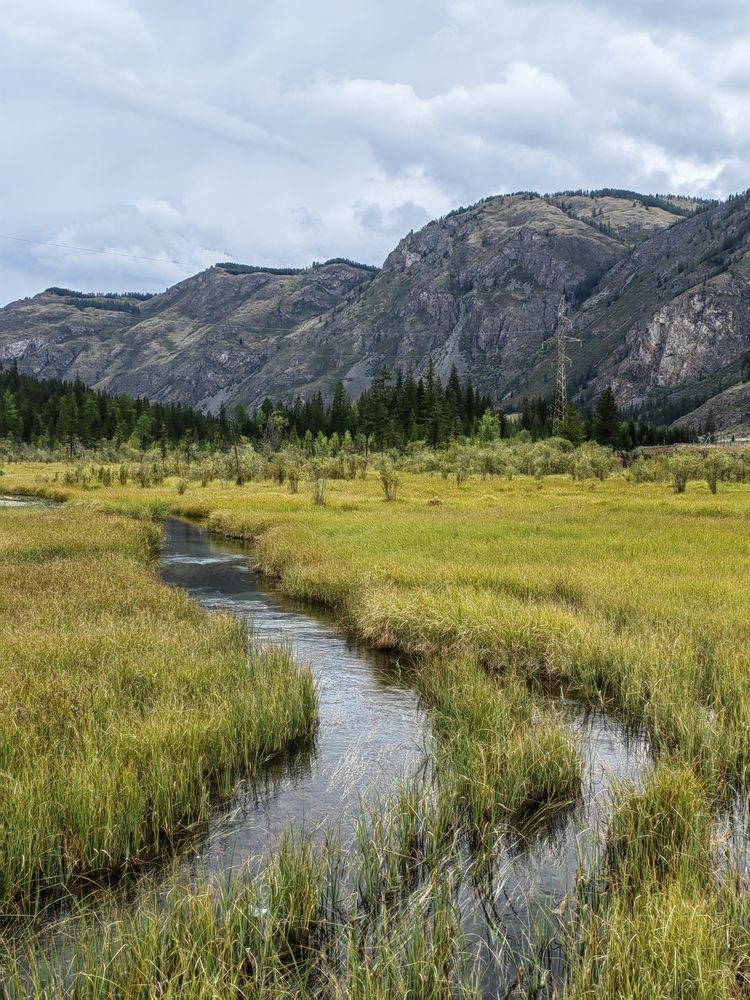 Photograph by Алёна С-К