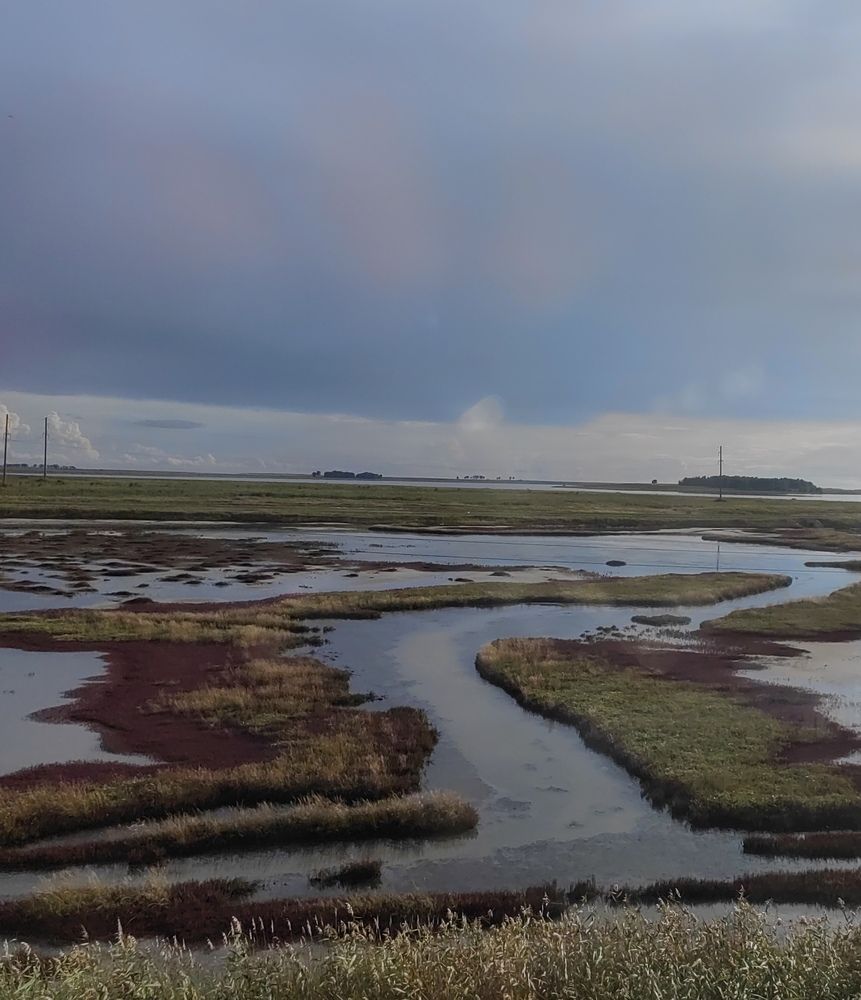 Photograph by Алёна С-К