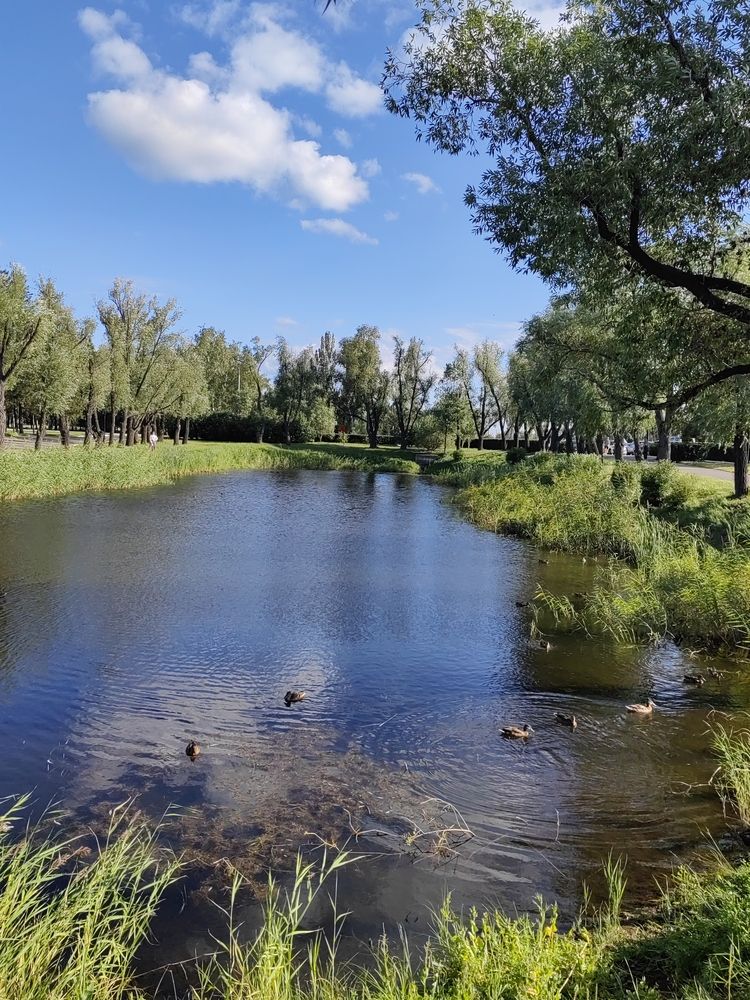 Photograph by Алёна С-К