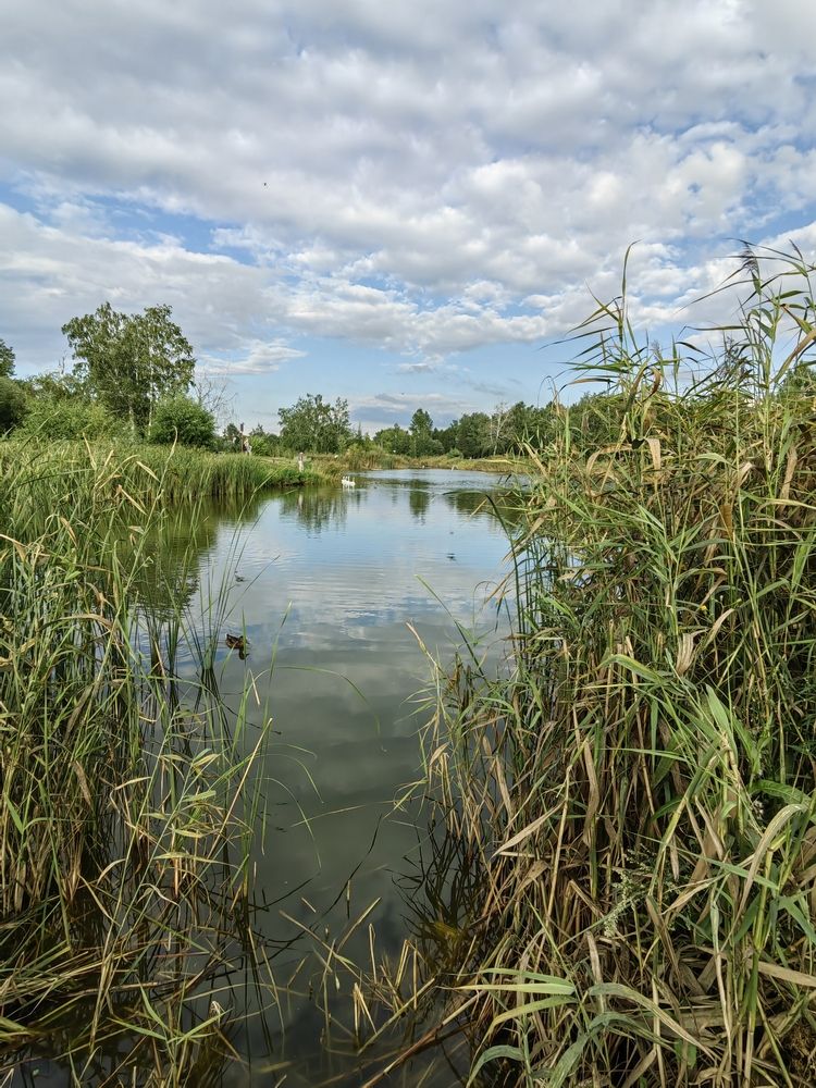 Photograph by Алёна С-К