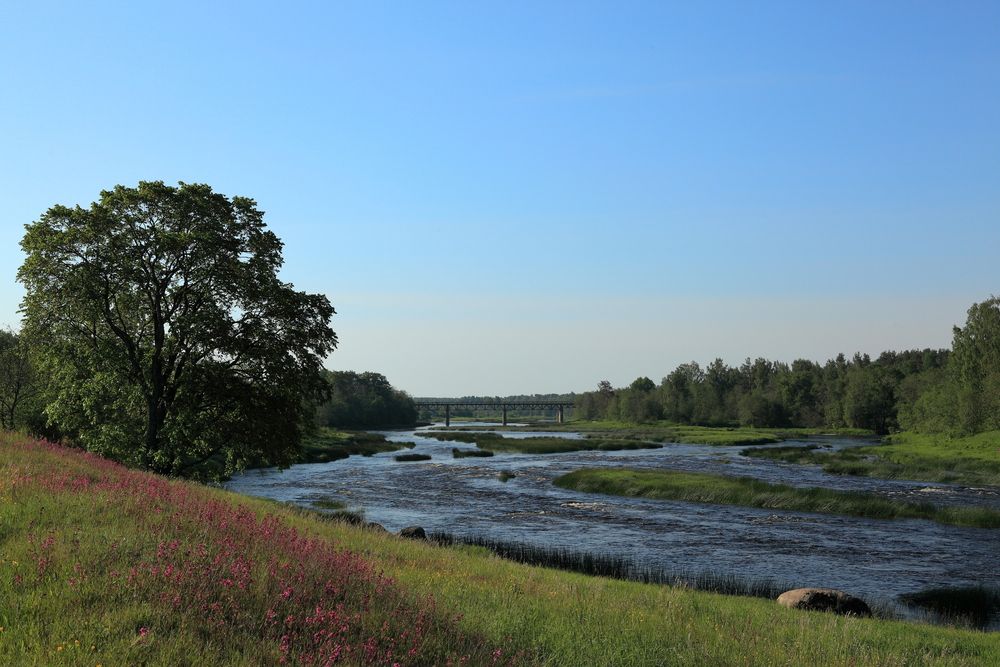 Photograph by АНДРЕЙ МИТЮРИН