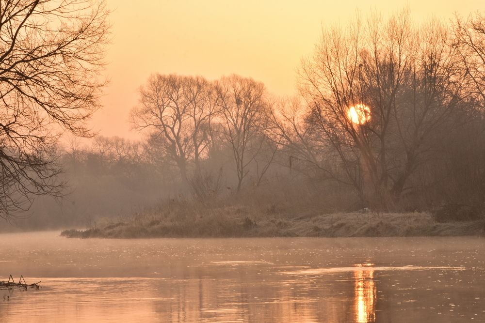 Photograph by Ирина Алексеева