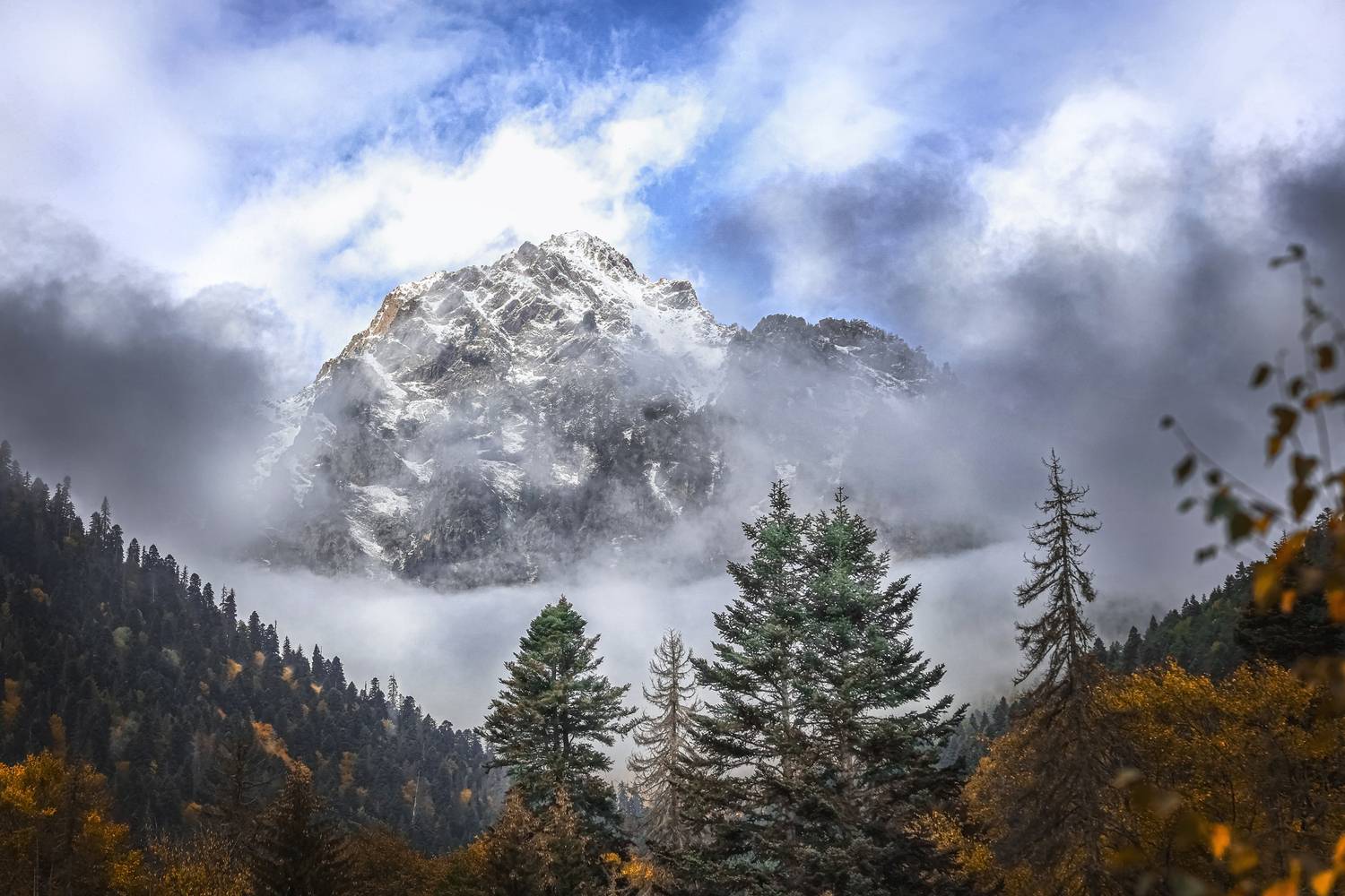 Фотография #13263628