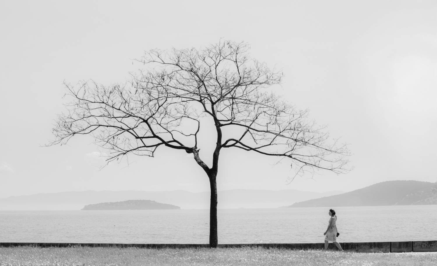 Фотография #13263657