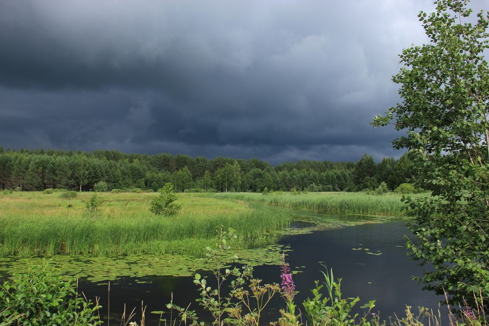 Photograph by Волкова Владимира