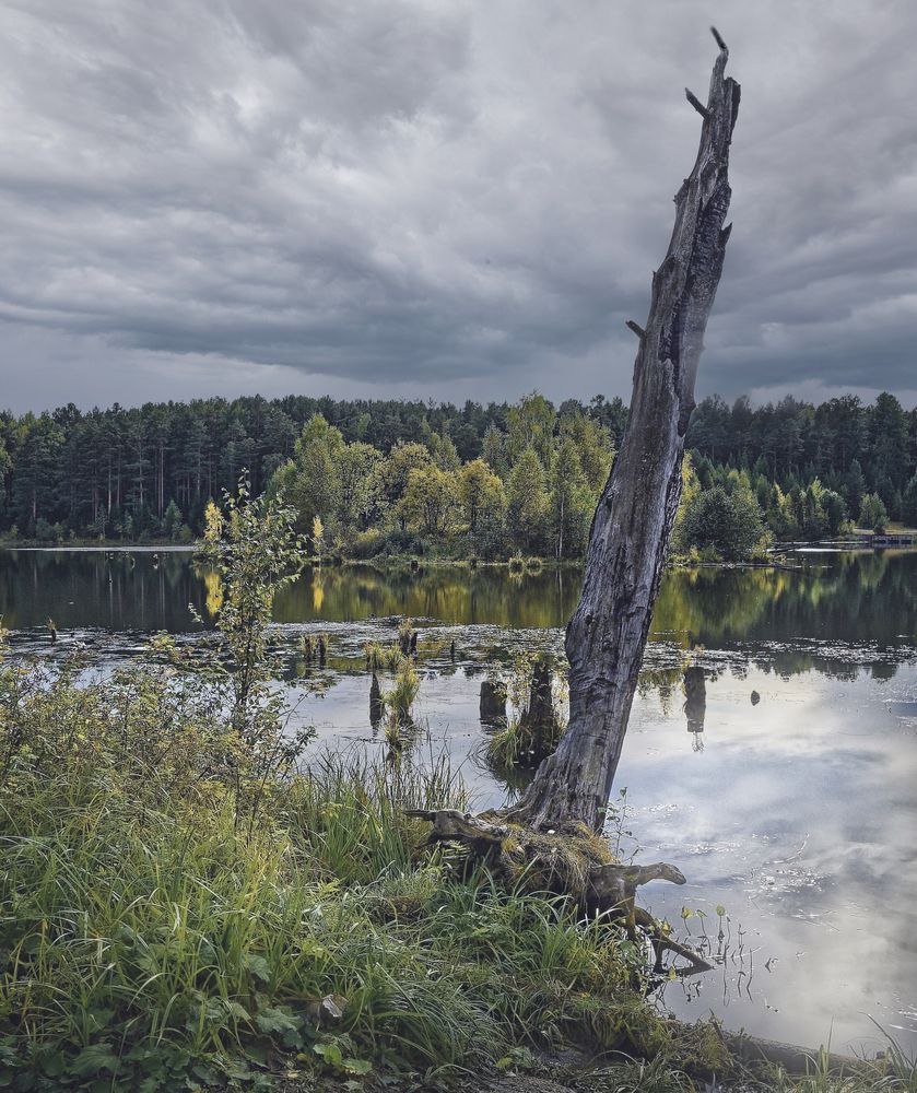 Photograph by Леонид Жуков