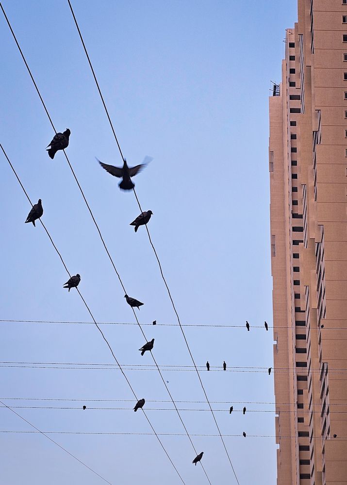 Photograph by Abhishek Pradhan