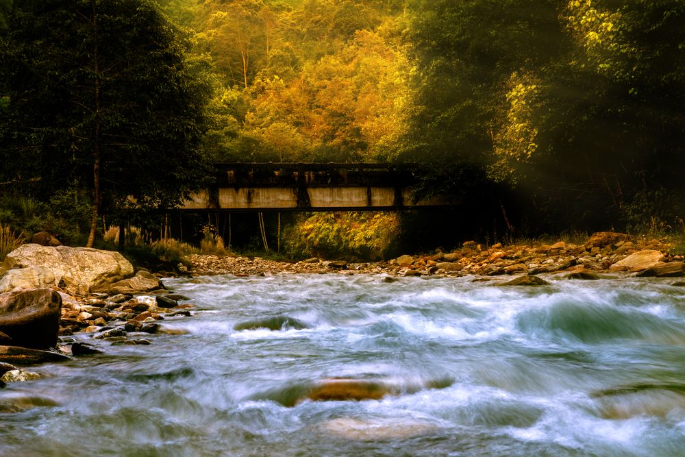 Фотография автора Subhajit Basak