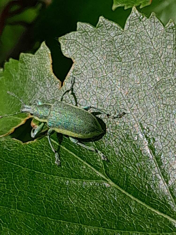 Photograph by Виталий Глазачев