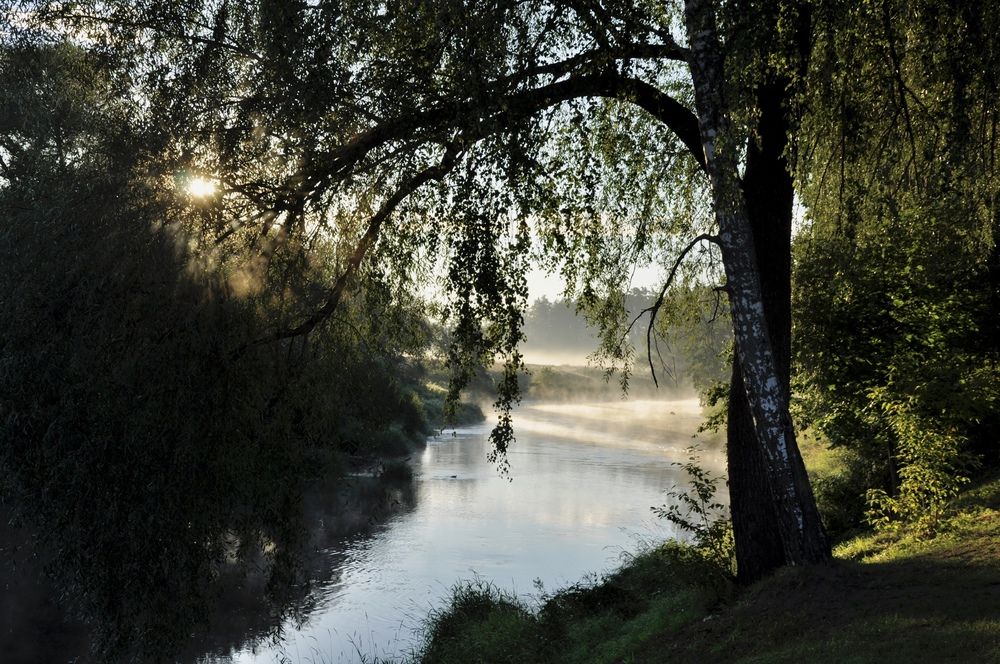 Photograph by Ольга Струкалина