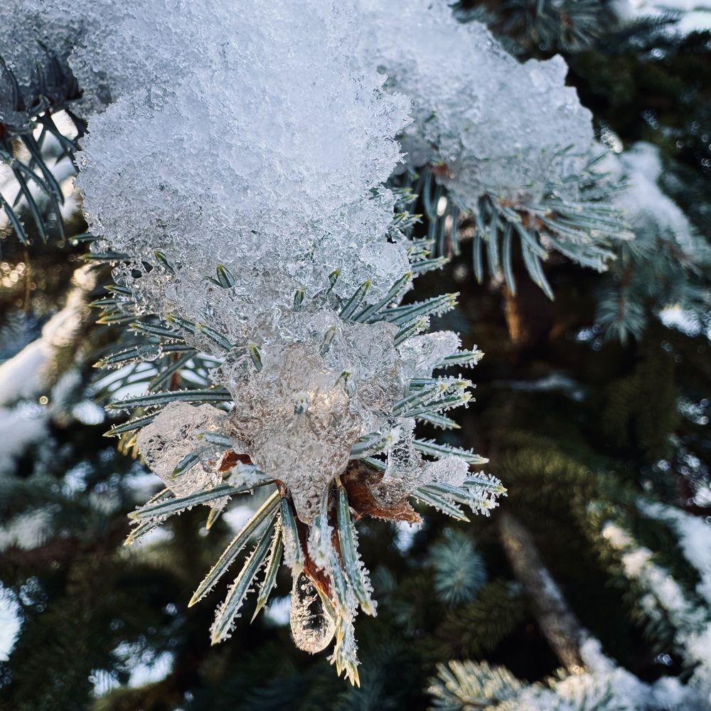 Photograph by Марина Сальникова