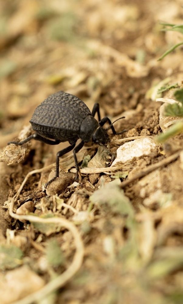 Photograph by Olga Berlyand