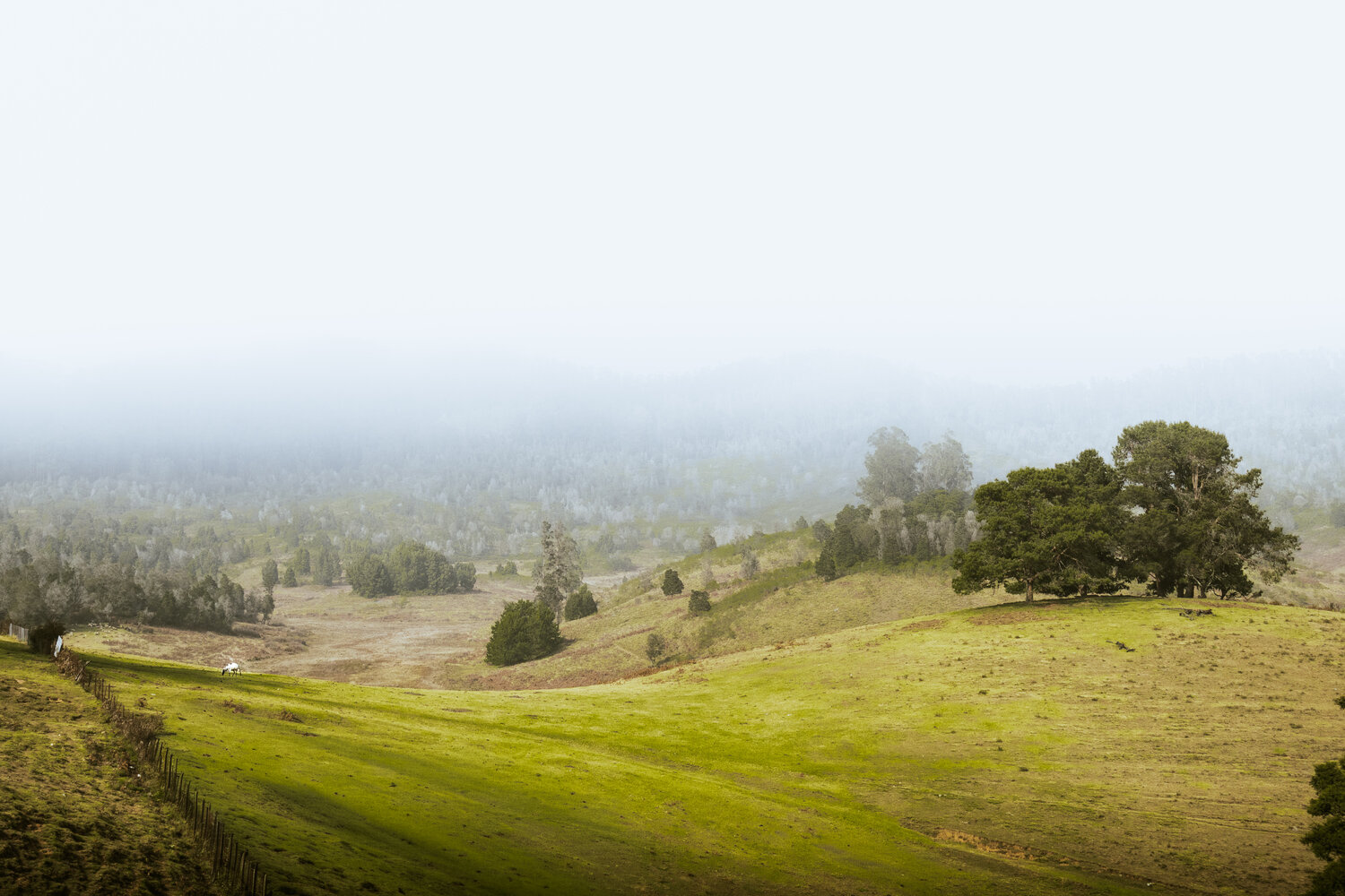 Photo #13263937
