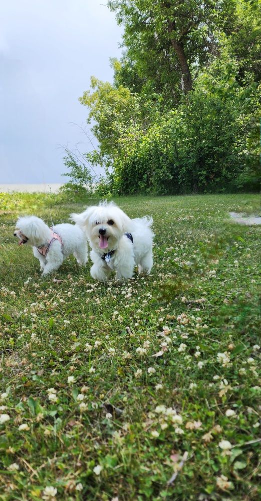 Фотография автора Al