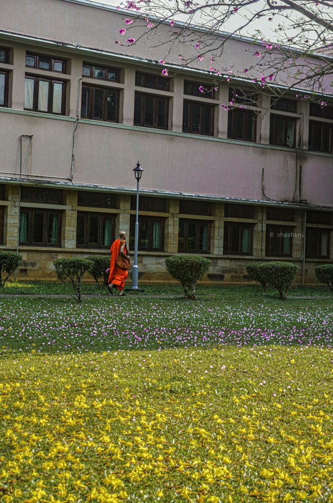 Photograph by Shashini Rathnayake