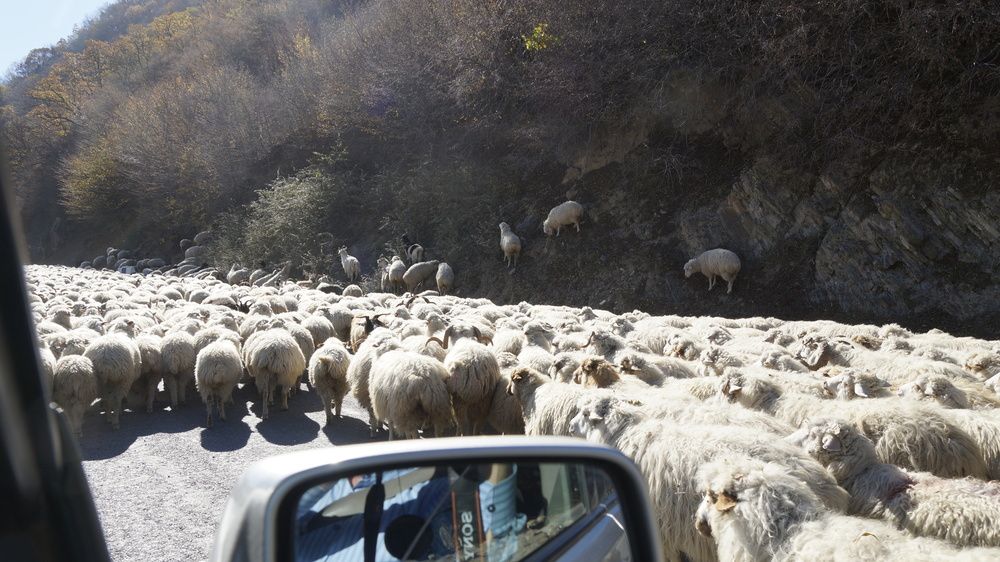 Фотография автора николай зайцев