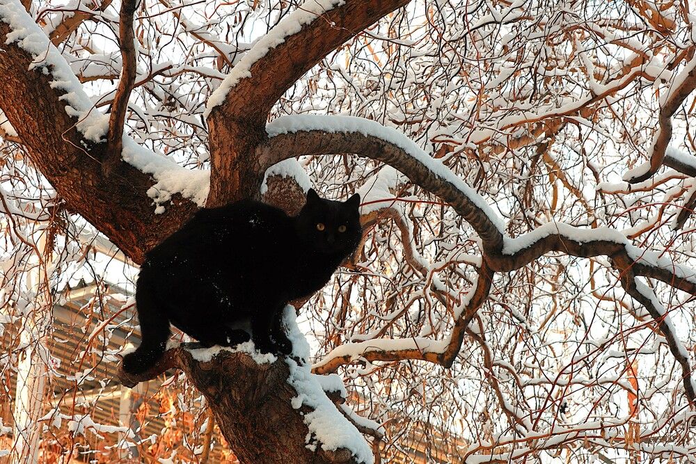 Photograph by Марина А-Б