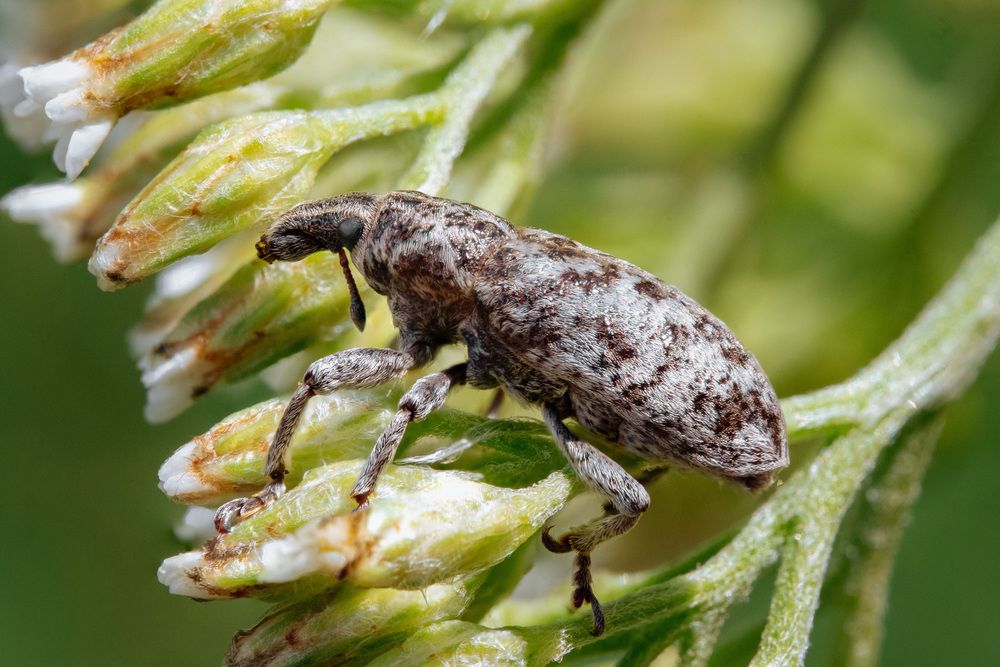 Photograph by Ольга Таланцева