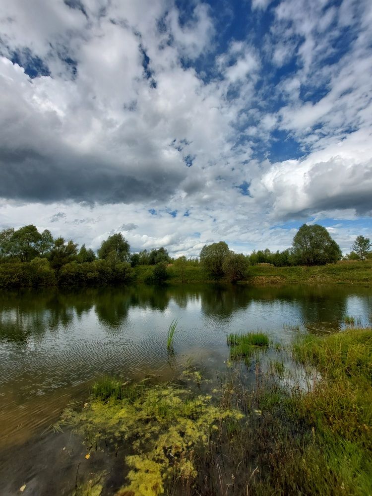 Фотография автора Elvira Oleinik