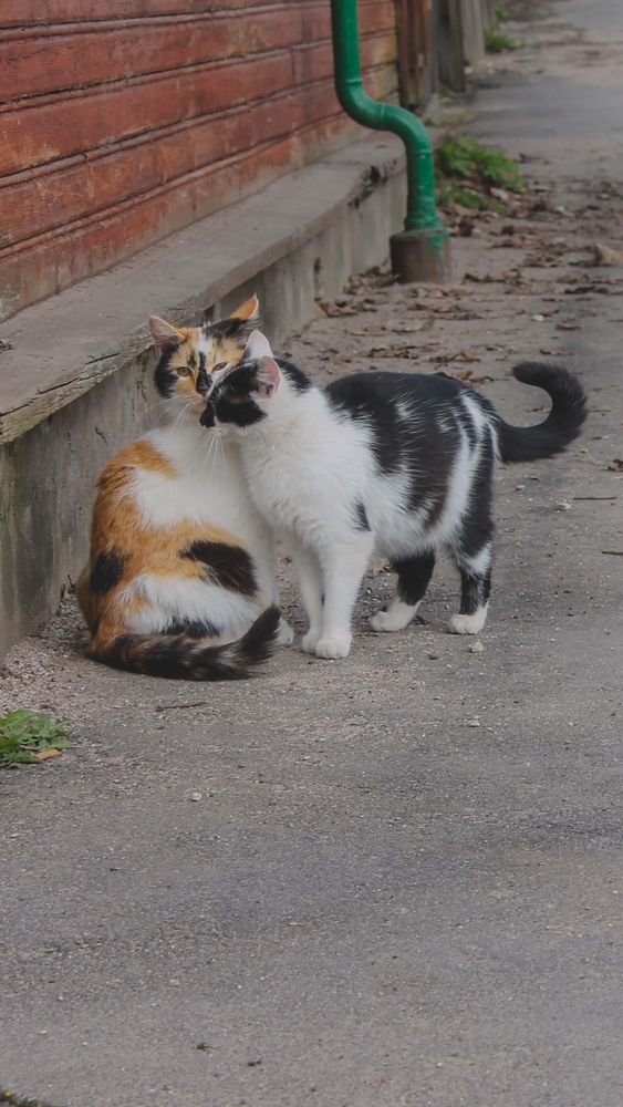 Photograph by Иван Бортяков