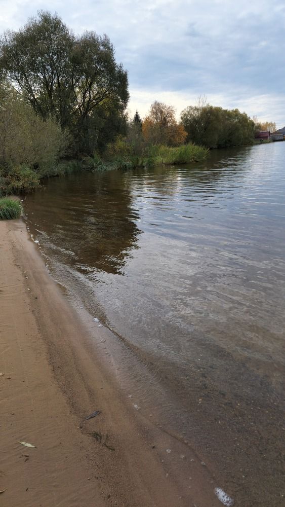 Photograph by Ольга Быстрова