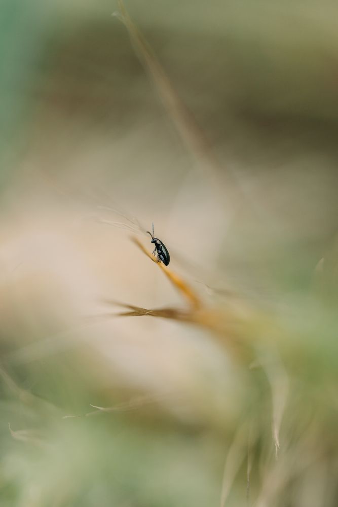 Фотография автора Anton Ry