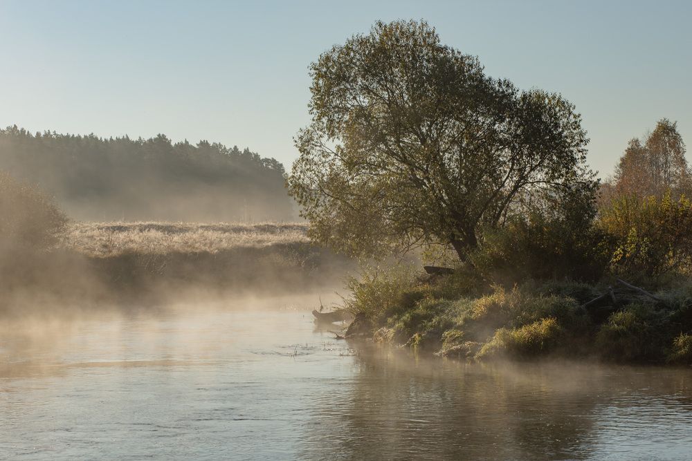 Фотография автора Марина Пехтерева