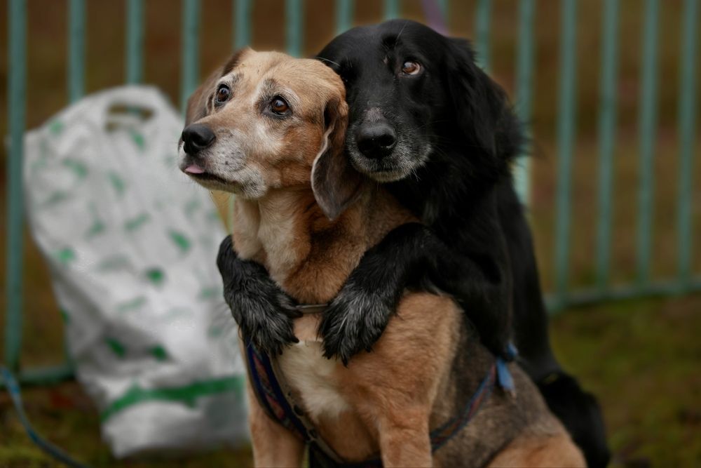 Фотография автора Яна Егорова