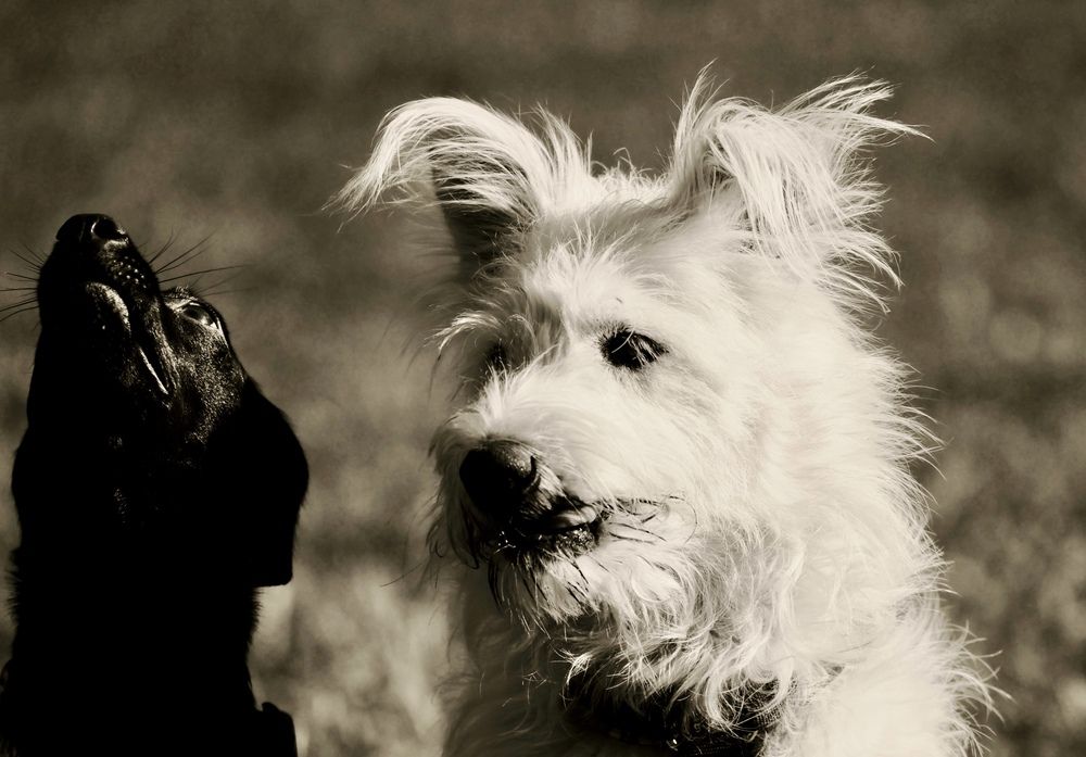 Фотография автора Яна Егорова