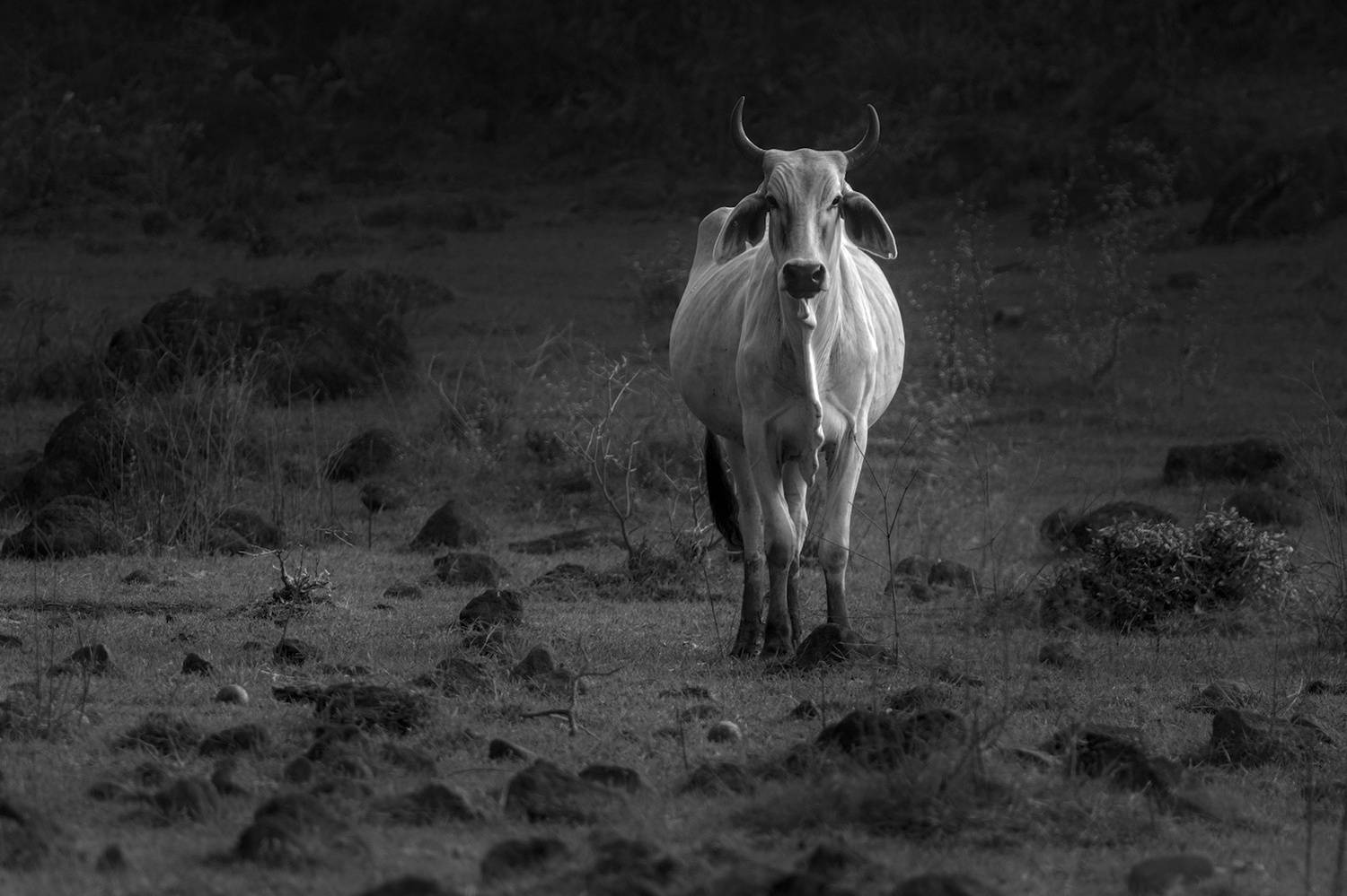 Storm is coming Storm is coming