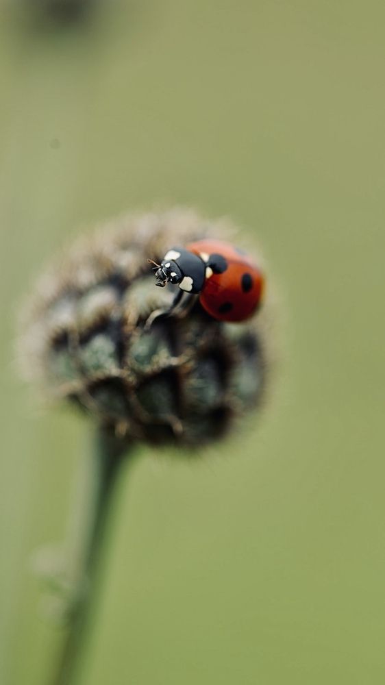 Photograph by Одаренко Ольга