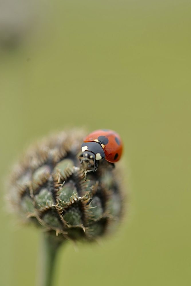 Photograph by Одаренко Ольга