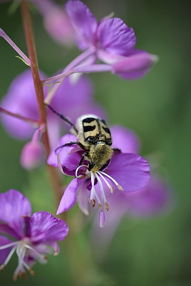 Photograph by Одаренко Ольга