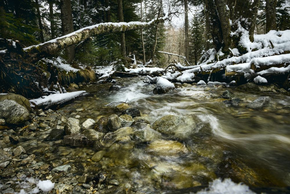 Photograph by Вячеслав Ват