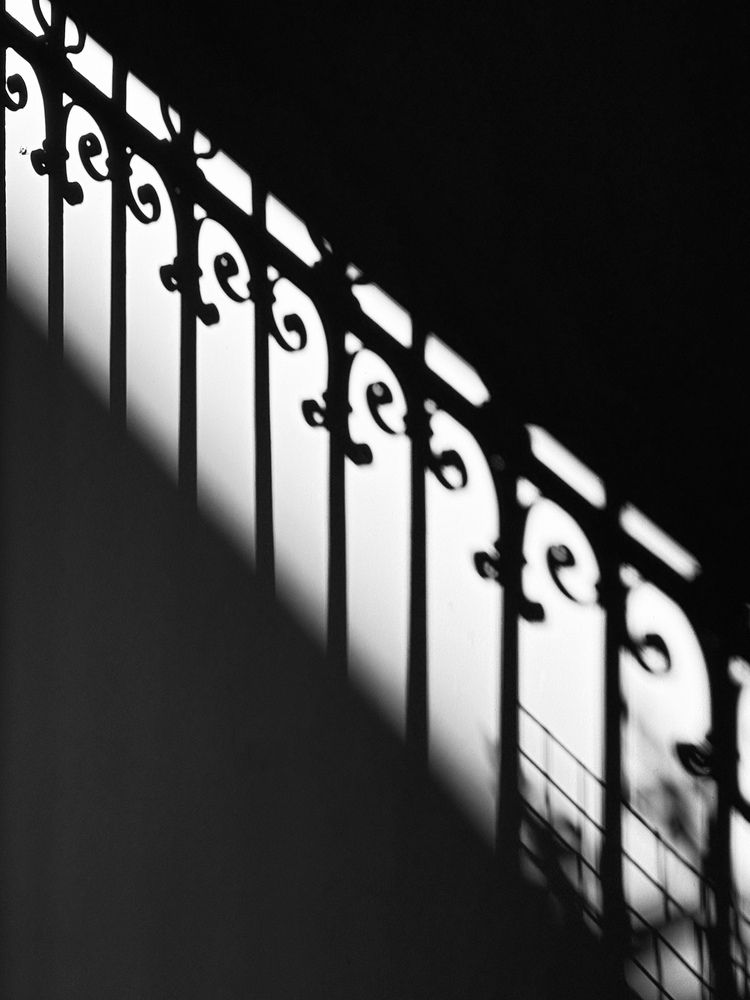Photograph by Елена Шамраева