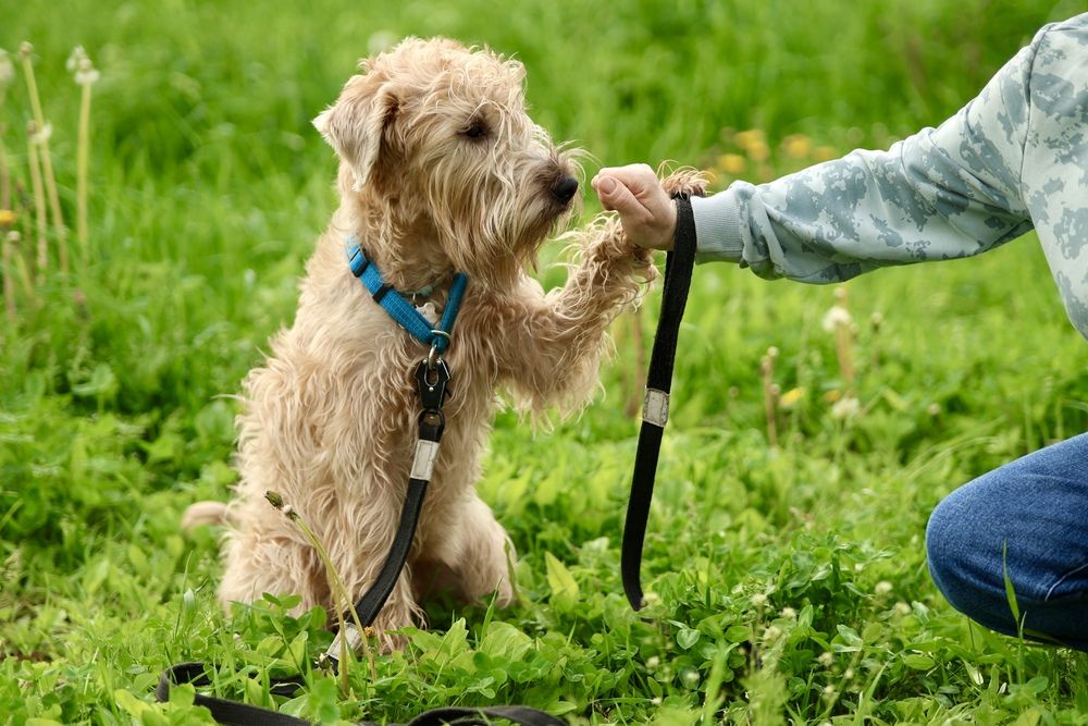 Фотография автора Яна Егорова