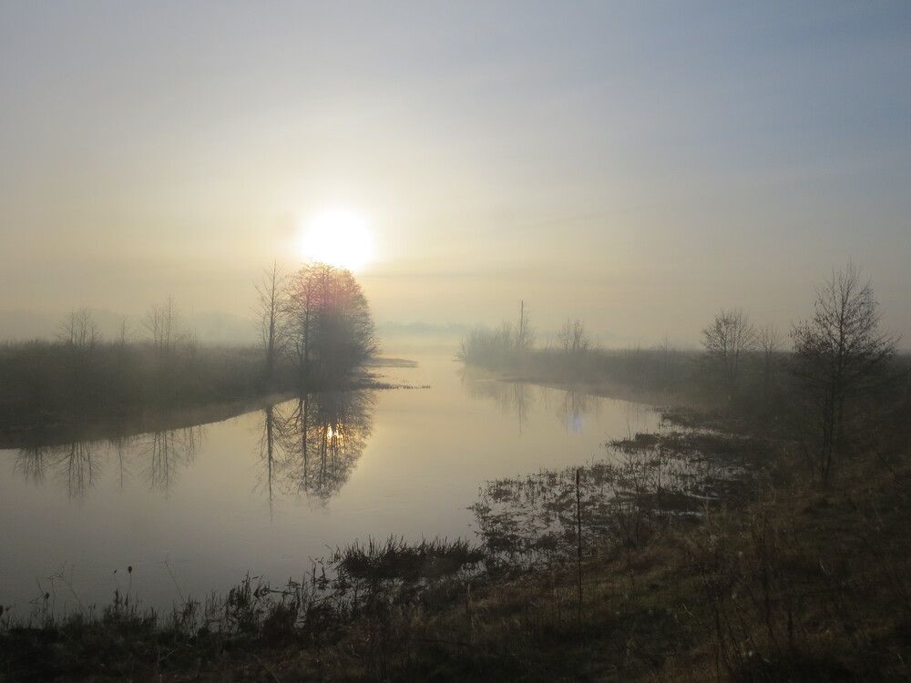 Photograph by Лариса Басова